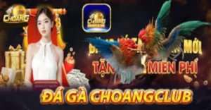 Kinh nghiệm tham gia chơi Đá gà choangclub hiệu quả