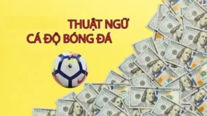 Thuật ngữ cá độ bóng đá kèo châu Âu giải đáp chi tiết