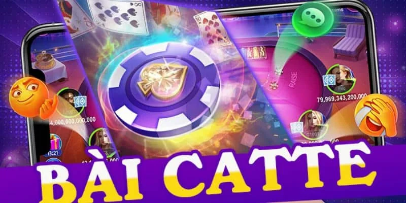 Bài Catte là gì? cách bắt đầu bài bài Catte