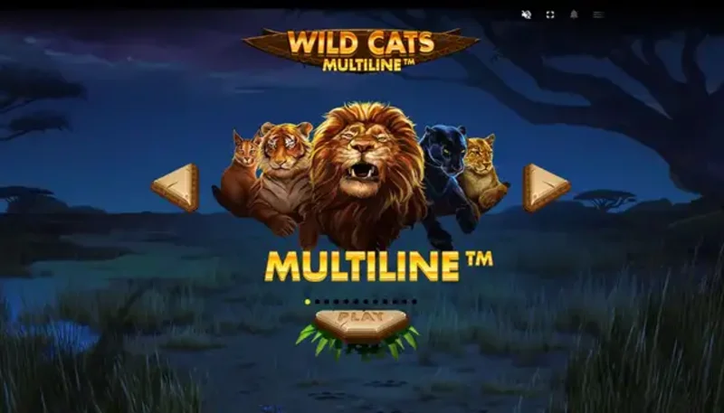 Chủ đề trong game Wild Cats Multiline