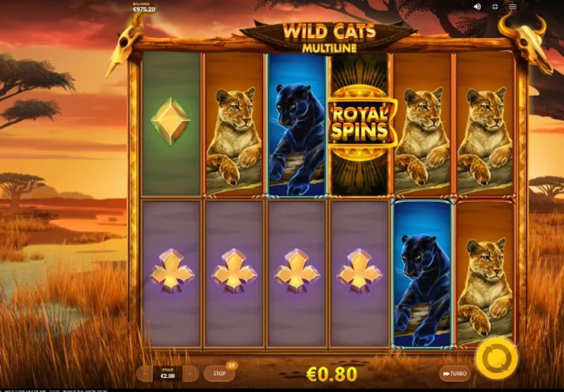 Tính năng nổi bật trong game Wild Cats Multiline